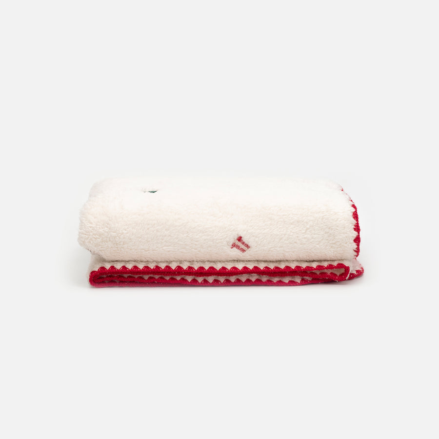 Holiday Snuggly Blanket